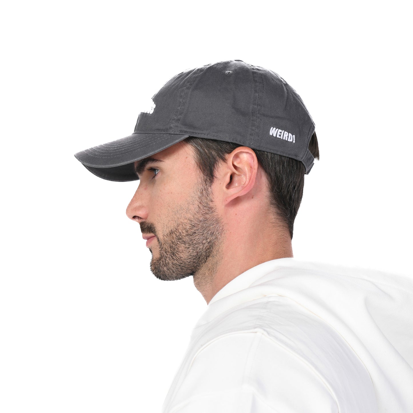 INVISIBLE FELLINGS - GRAY -CAP